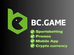 Comprehensive BC Game Reviews Insights into the Casino Experience