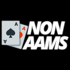 Guida ai Casino Online No ADM Gioca Sicuro e Responsabilmente