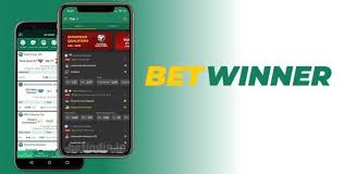 Understanding BetWinner's Privacy Policy Your Data Matters