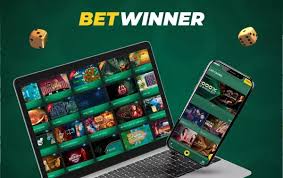 All You Need to Know About BetWinner in Cameroon 1952408894