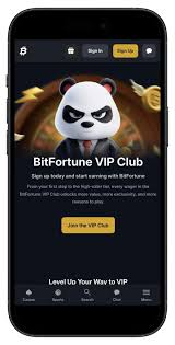 The Ultimate Bitfortune Mobile Guide Your Path to Success