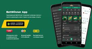BetWinner APK Download and Enjoy Seamless Betting Experience