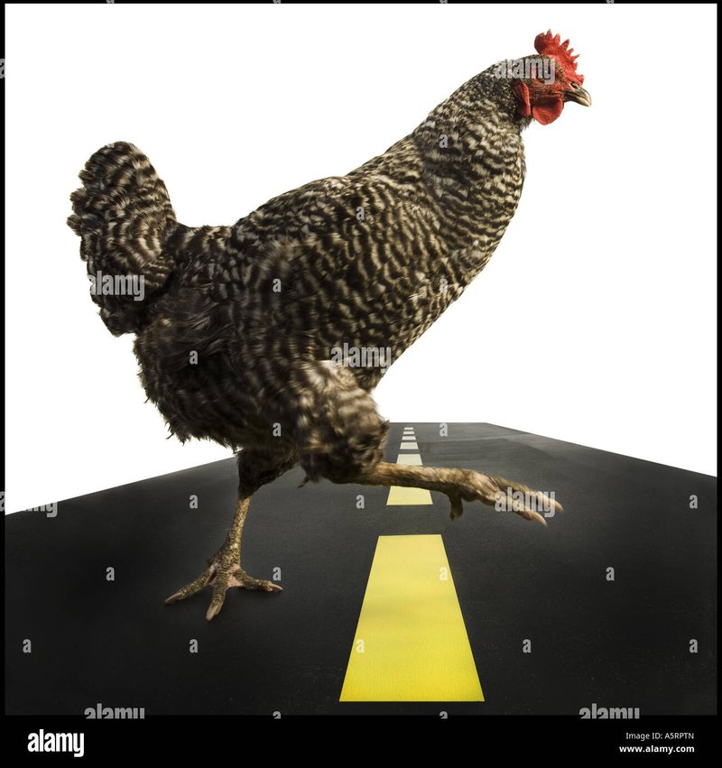 Descubre el Misterio detrás de la Carretera del Pollo más famosa de España