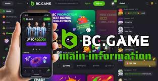 Understanding BC.Game Data Protection Policy Safeguarding Your Privacy