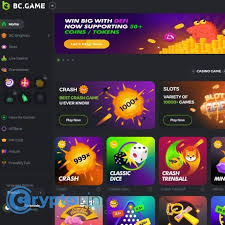 Understanding BC.Game General Terms and Conditions 555678051