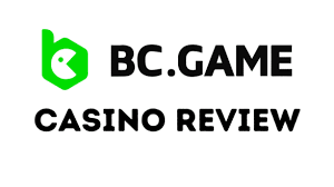Understanding BC.Game Support in India